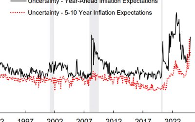 Longer-term consumer sentiment dips on renewed inflation concerns