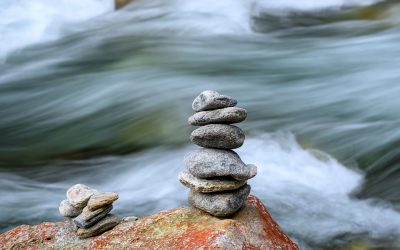 Behavioral adherence: Sticking with the plan in volatile markets